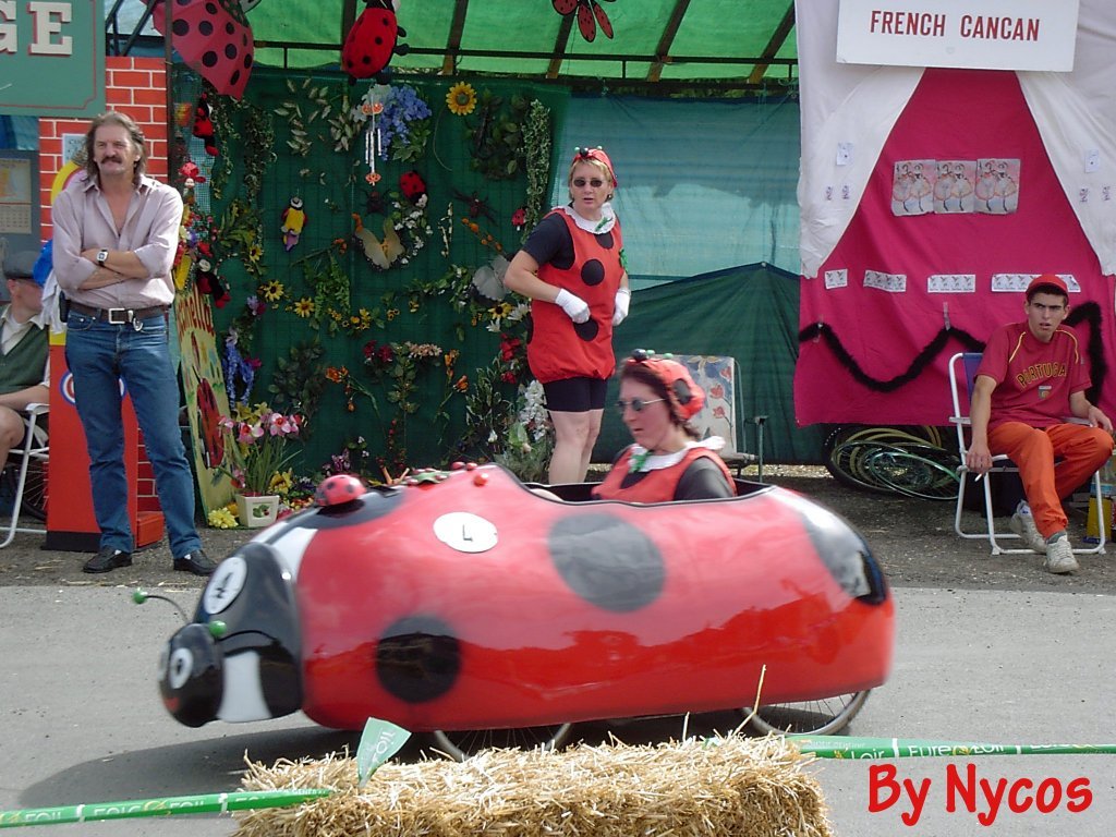 Coccinella 007.jpg